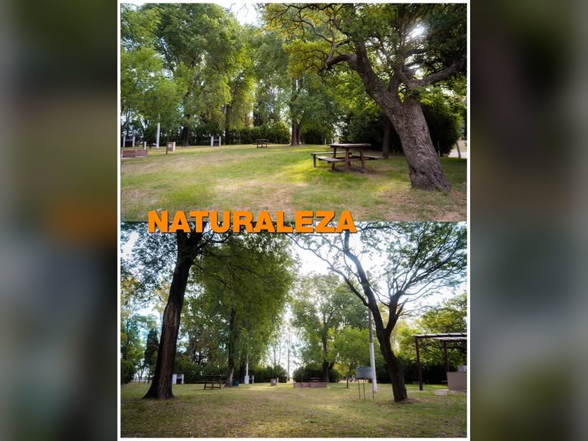 Naturaleza: mesas de camping bajo los árboles y parque arbolado en el predio del Parque Acuático