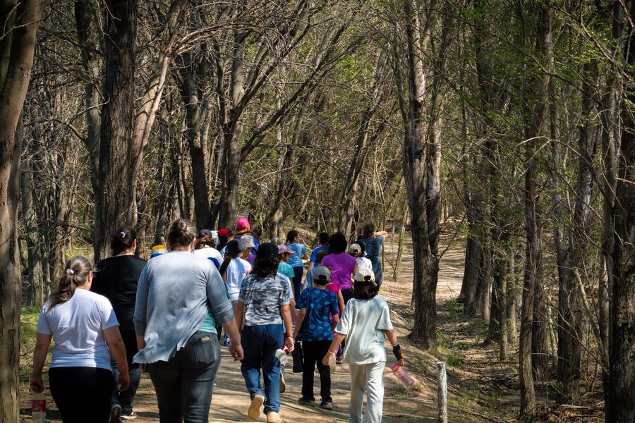 Grupo de chicos y adultos caminando por el sendero arbolado hacia la Laguna Luan Lauquen