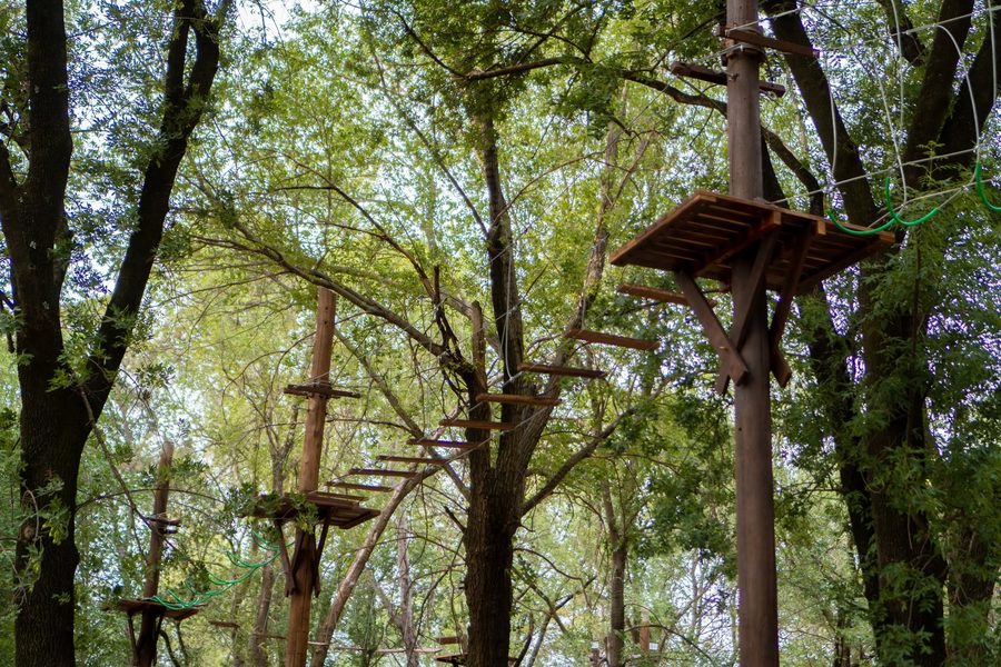 Circuito de parque aéreo entre los árboles del Vivero Municipal, con plataformas y pasarelas en altura