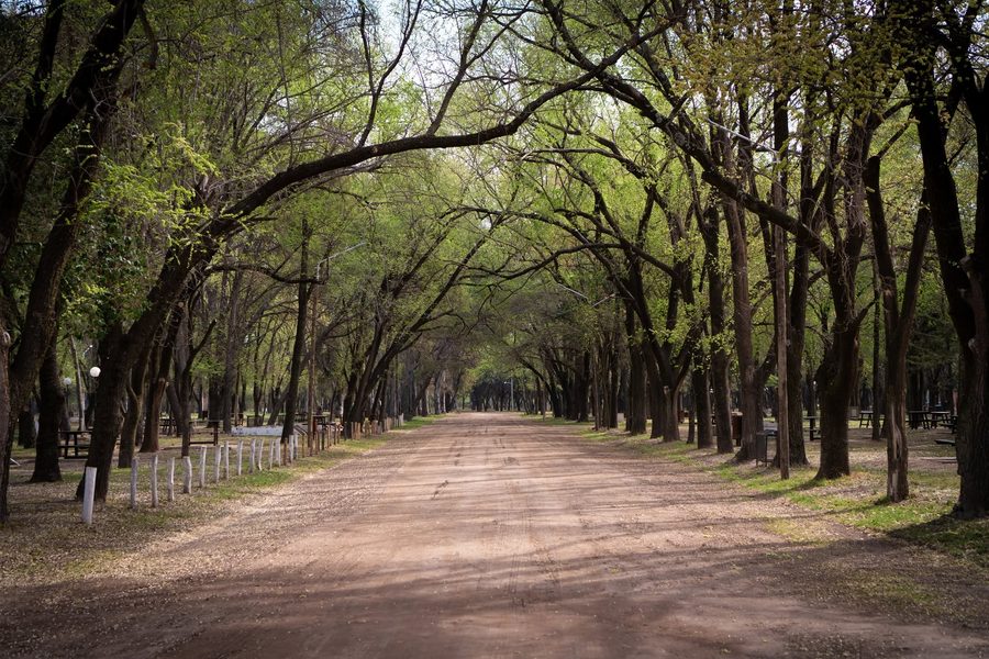 Camino de tierra bajo la arboleda del Vivero Municipal Ernesto Lucero